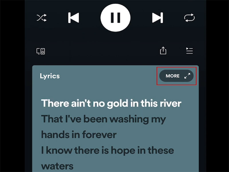 How to Get Lyrics on Spotify