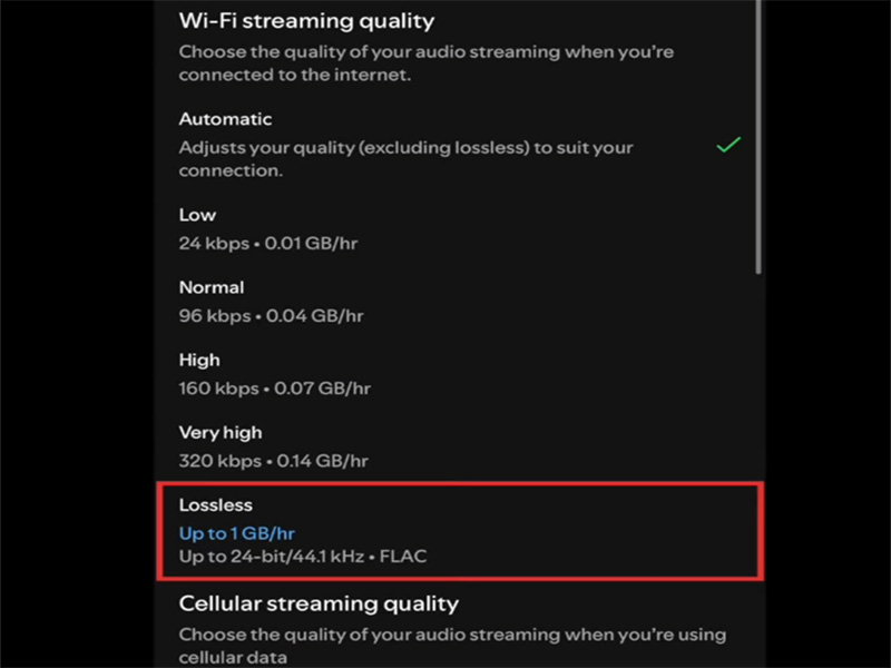 HiRes Audio on Spotify Premium — Hype or Worth It