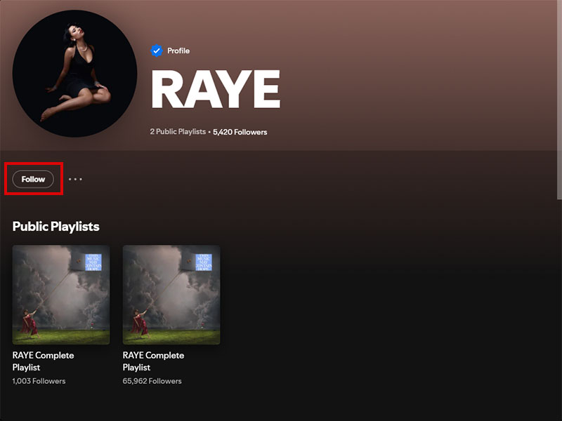Can You See Someone Else's Followers on Spotify Premium