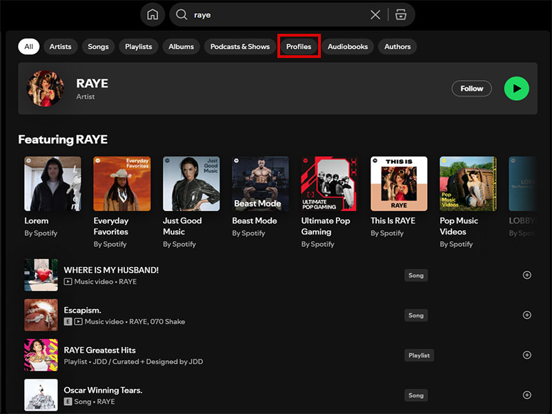 Can You See Someone Else's Followers on Spotify Premium